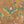 Birds in Paradise Wallpaper