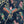 Birds in Paradise Wallpaper
