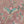 Birds in Paradise Wallpaper