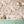 Birds in Paradise Wallpaper