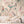 Birds in Paradise Wallpaper