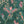 Birds in Paradise Wallpaper
