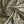 Agnes Black and Gold Lustre Velvet