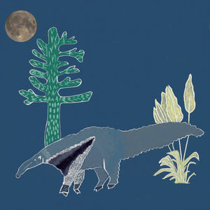 The Anteater Wallpaper