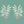 Branch of Mango Wallpaper