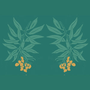 Branch of Mango Wallpaper