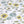 Bumblebee and Flora - Organic Cotton Half Panama