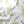 Buttercup and Bluebells Fabric- Cotton Drill
