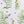 Buttercup and Bluebells Fabric- Cotton Drill