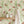Sustainable Butterfly and Wallpaper