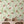 Sustainable Butterfly and Wallpaper