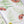 Sustainable Butterfly and Wallpaper