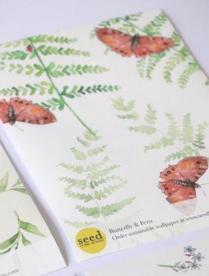 Sustainable Butterfly and Wallpaper