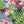Canopy Linen