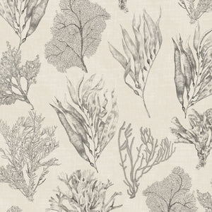 Kelp Forest Wallpaper