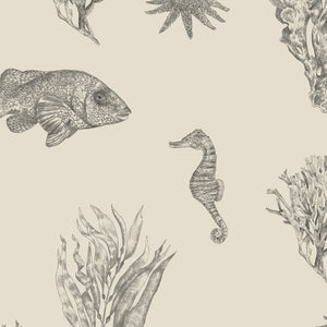 Solent Snapper Wallpaper