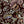Bloomsbury Grande Wallpaper