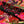 Coral Gables Eco Velvet