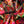Coral Gables Eco Velvet