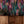 Spectre Ikat Wallpaper