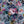 Bridie wallpaper by Curate Space in indigo, full repeat of oversized painterly blooms