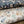 Charlotte wallpaper by Curate Space in light cream and midnight blue, hand-painted seashells and starfish, rolls in light cream and midnight blue shown together
