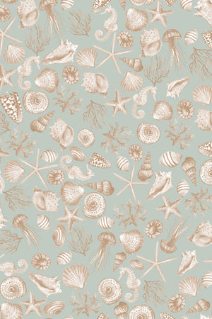 Charlotte Curate Space wallpaper in pebble grey, full repeat of hand-painted seashells and starfish