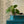 Edie wallpaper by Curate Space in soft green, arching fern fronds in vertical columns behind a teal chest of drawers and round mirror