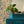 Eva wallpaper by Curate Space in off-white, a large-scale painterly floral in a room with a teal chest and a round mirror