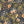 Iris wallpaper by Curate Space in midnight blue, full repeat of botanical blooms and foliage