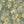 Iris wallpaper by Curate Space in soft green, full repeat of botanical blooms and foliage
