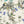 Noah wallpaper by Curate Space in off-white, full repeat of palm trees, tropical foliage and animals