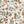 Nola wallpaper by Curate Space in off-white, full repeat of wildflowers and tall stems