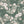 Orla wallpaper by Curate Space in dark green, full repeat of layered florals and foliage over a trellis