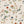 Paloma Curate Space wallpaper in off-white, full repeat of trailing floral stems