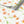 Dancing Autumn Daisies Sustainable Wallpaper