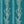 Gatty's Kelp Forest Wallpaper