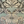 Papilio Medium Pile Velvet