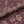 Ella Luxe Velvet Fabric