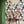 English Garden Wallpaper