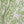 Folio Linen