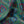 Garden of India Velvet