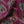 Garden of India Velvet