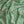 Agnes Green and Pink Lustre Velvet