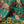 Hampi Velvet
