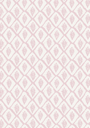 Jaipur Wallpaper