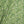 Jungle Linen