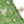 Jungle Linen
