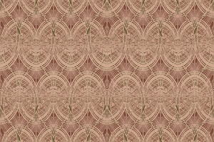 Lace wallpaper by Dami and Em Design in coral, flat sample of a lace pattern
