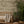 Lyons Den Wallpaper in Parchment by Victoria Sanders, nursery setting